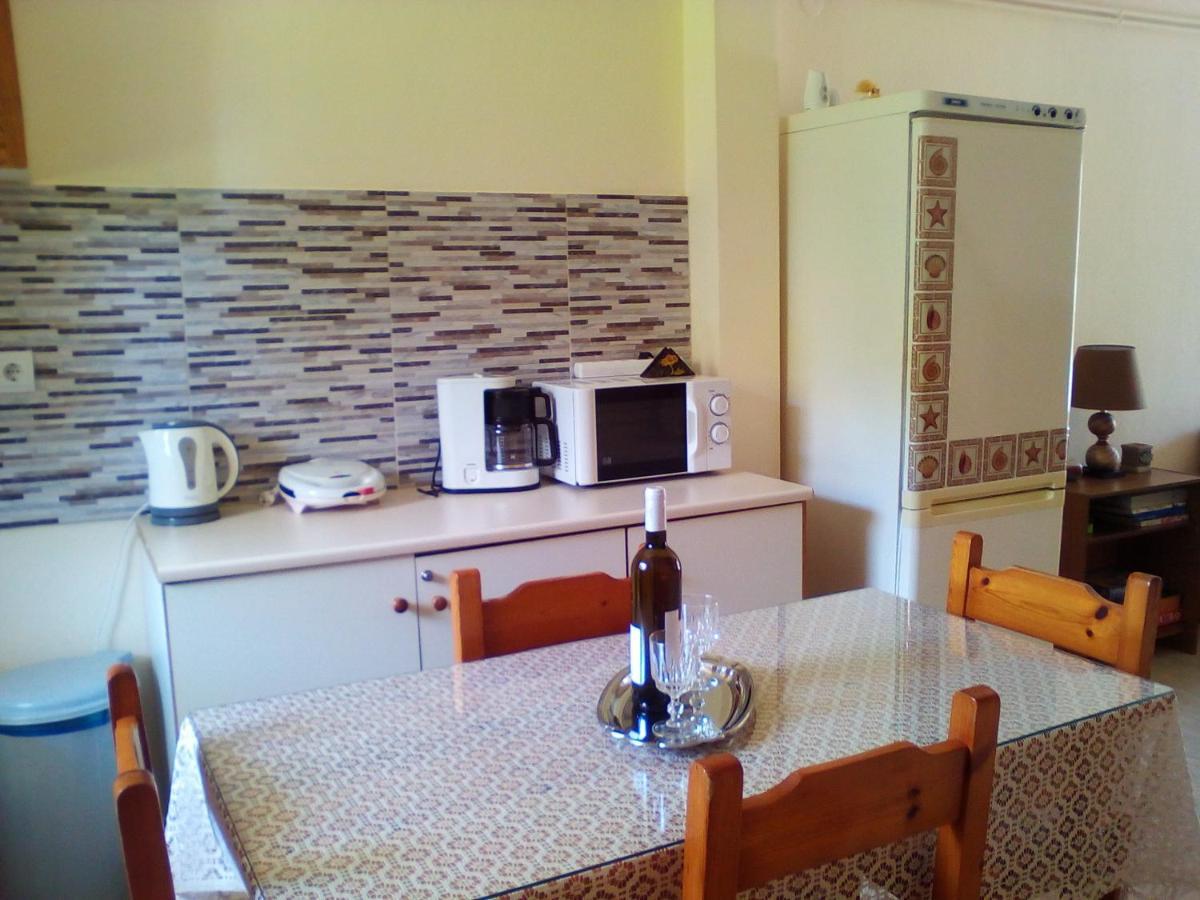 Galini Apartment Mytikas  Ngoại thất bức ảnh